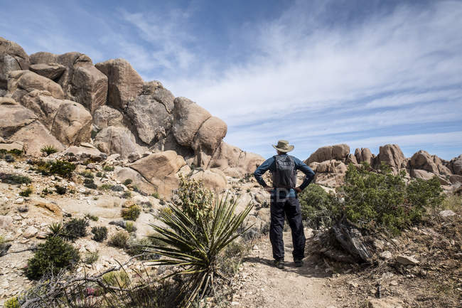 Um homem sênior de pé em uma trilha no Parque Nacional Joshua Tree olhando para formações rochosas; Califórnia, Estados Unidos da América — Fotografia de Stock
