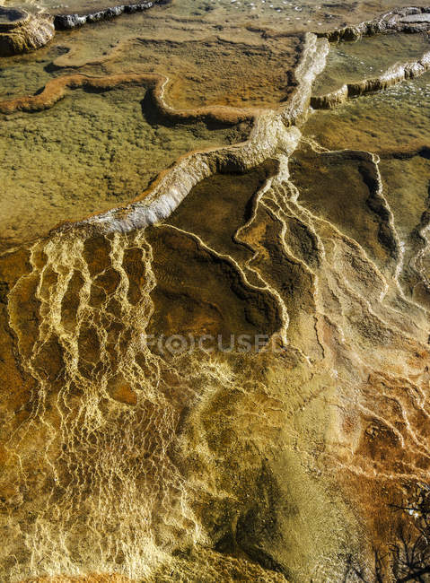 Aerial view of Mammoth Springs, Yellowstone National Park; Wyoming, United States of America — Stock Photo