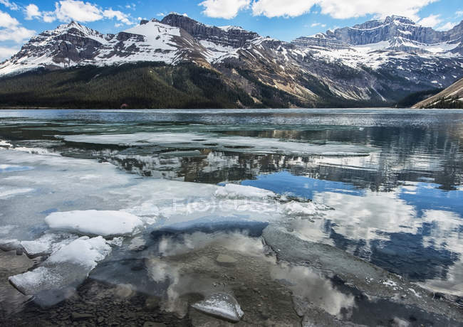 Trozos de hielo rotos a lo largo de la costa del Lago Bow con las Montañas Rocosas reflejadas en el agua, Parque Nacional Banff; Alberta, Canadá - foto de stock