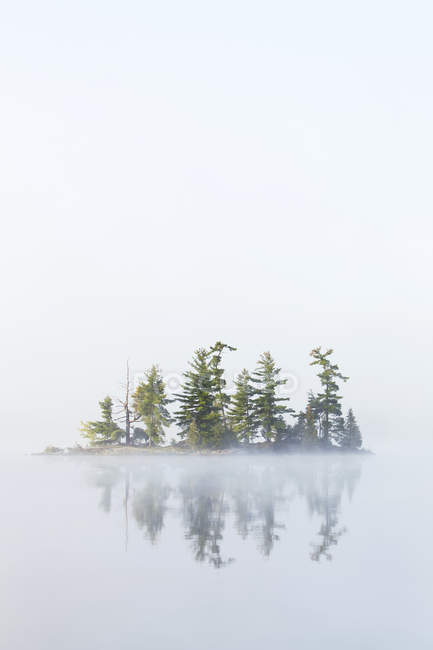 La niebla cubre una pequeña isla en el lago Tortuga en la región de Muskoka de Ontario, cerca de Rosseau; Ontario, Canadá - foto de stock