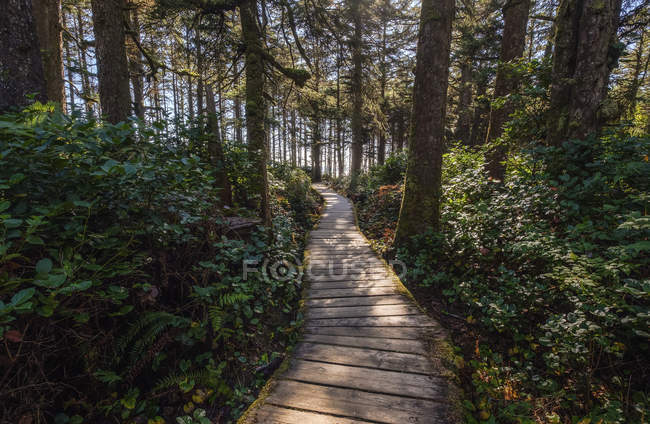 Wooden boardwalk trail at Long Beach, Pacific Rim National Park, on the West coast of Vancouver Island; British Columbia, Canada — Stock Photo