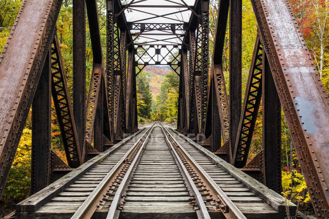 Iron railroad bridge over Sawyer River with trees in autumn colours, White Mountains National Forest; New England, United States of America — Stock Photo