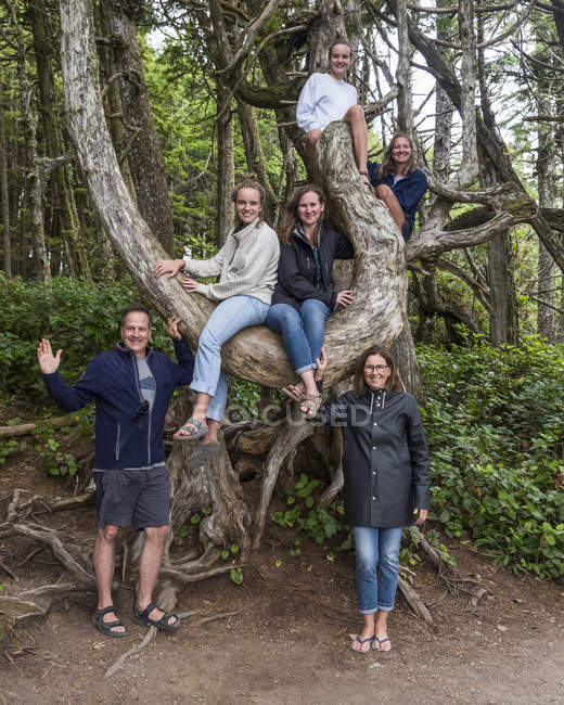 Portrait de famille avec quatre filles dans un arbre sur l'île de Vancouver, Ucluelet, BC, Canada — Photo de stock