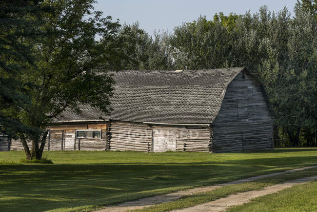A log barn with leaning walls and a weathered roof; Manitoba, Canada — Stock Photo