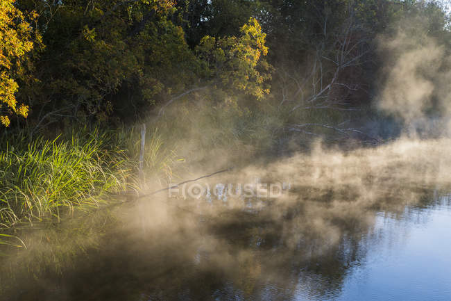 Nebel steigt aus dem Wasser eines Sees im Mammutbaum National Wildlife Refugium; vian, oklahoma, Vereinigte Staaten von Amerika — Stockfoto