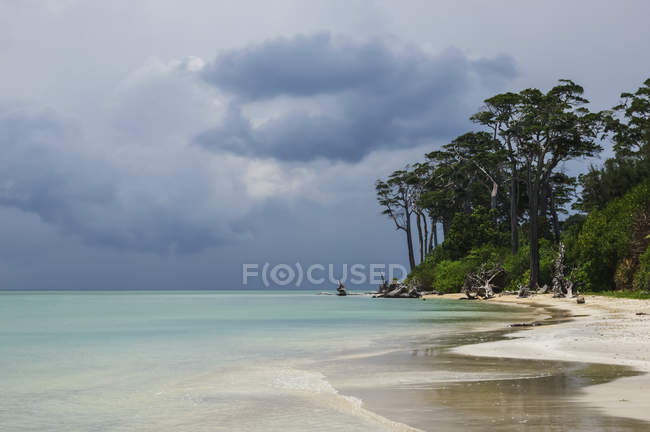 Plage tropicale avec nuages orageux à l'horizon ; îles Andaman, Inde — Photo de stock