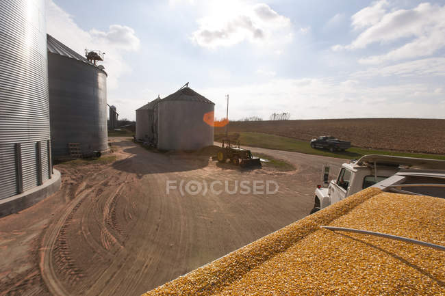 Grano camion caricato con mais a grano essiccatore e bin complesso durante la raccolta del mais, vicino a Nerstrand; Minnesota, Stati Uniti d'America — Foto stock