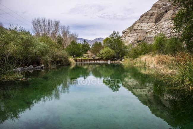 A pond in Whitewater Preserve; Whitewater, California, United States of America — Stock Photo