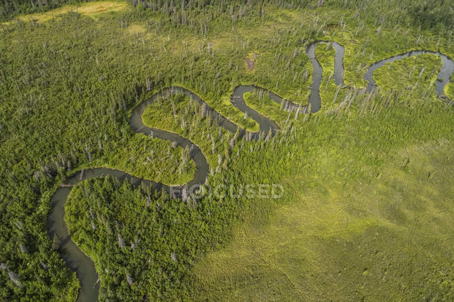 Ruisseau sinueux serpentant dans la nature sauvage du Yukon ; Territoire du Yukon, Canada — Photo de stock
