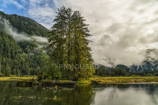 Moody landscape of low cloud over the Great Bear Rainforest, Hartley Bay, British Columbia, Canada — Stock Photo
