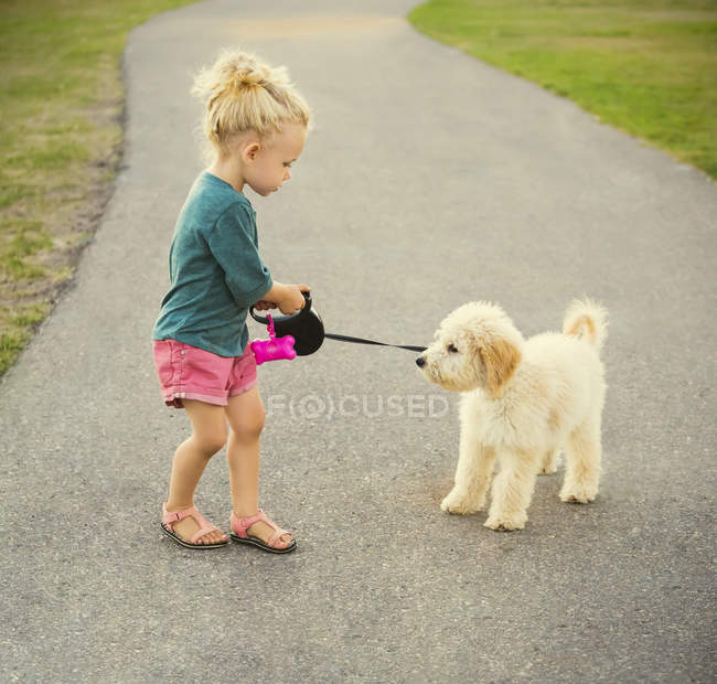 Маленькая девочка, гуляющая с лабрадудлом в парке — стоковое фото