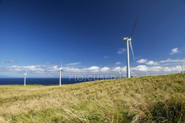 Turbinas eólicas en un parque eólico, Hawai, Estados Unidos de América - foto de stock
