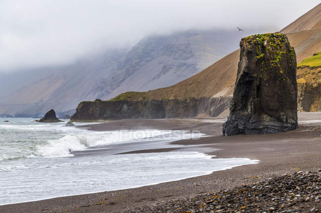 Praia de areia preta remota e pilha de mar rochoso no leste da Islândia no nevoeiro de verão, Islândia — Fotografia de Stock