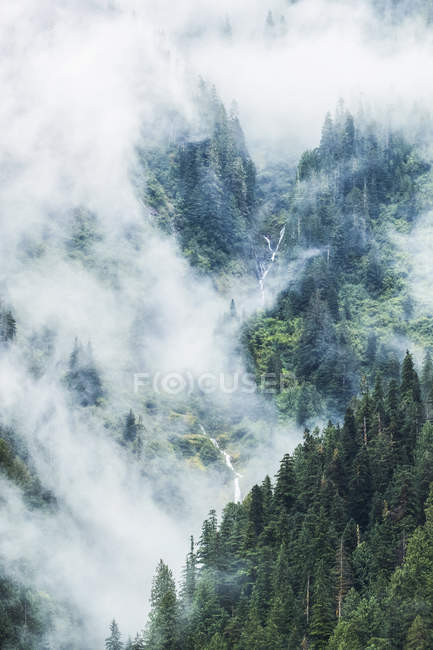Vistas panorámicas de la selva tropical del Gran Oso con niebla y nubes bajas; Hartley Bay, Columbia Británica, Canadá - foto de stock