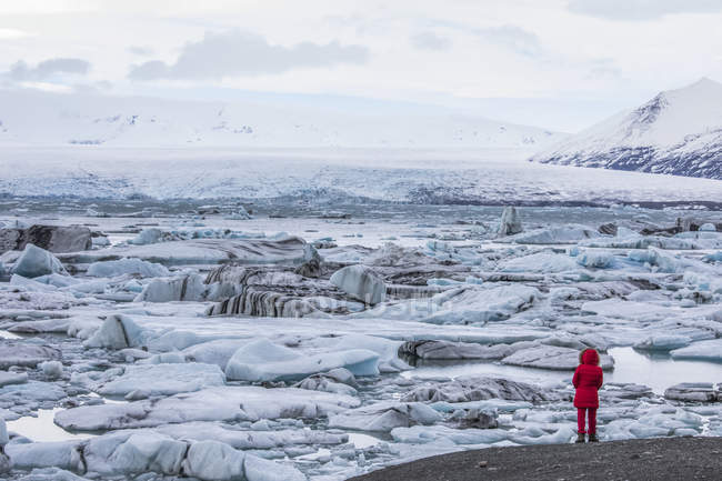 Задній вид жінка стояв дивлячись на льоду і айсбергів в Jokulsarlon, Ісландія — стокове фото