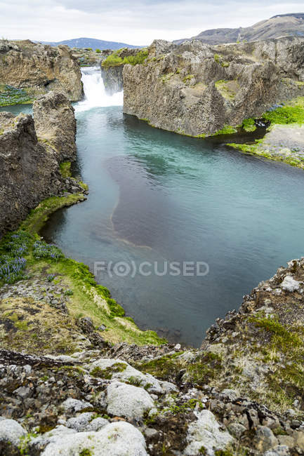 Splendido belvedere collinare della cascata di Hjalparfoss e del fiume attraverso una valle di fiori di lupino, Islanda — Foto stock