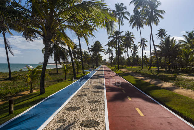 Caminhos de bicicleta e de corrida em uma das praias fora de Slavador, Salvador, Bahia, Brasil — Fotografia de Stock