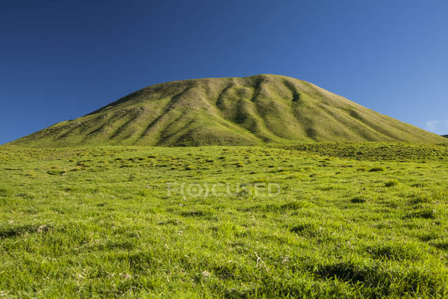 Vista panorámica del cono de ceniza verde en un pasto de ganado, Rancho Kahua, Montañas Kohala del Norte, Isla de Hawai, Hawai, Estados Unidos de América - foto de stock