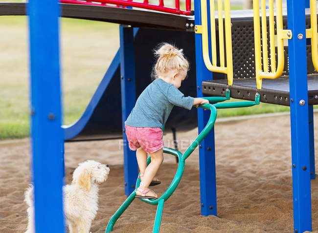 Молода дівчина грає на дитячому майданчику з собакою — стокове фото