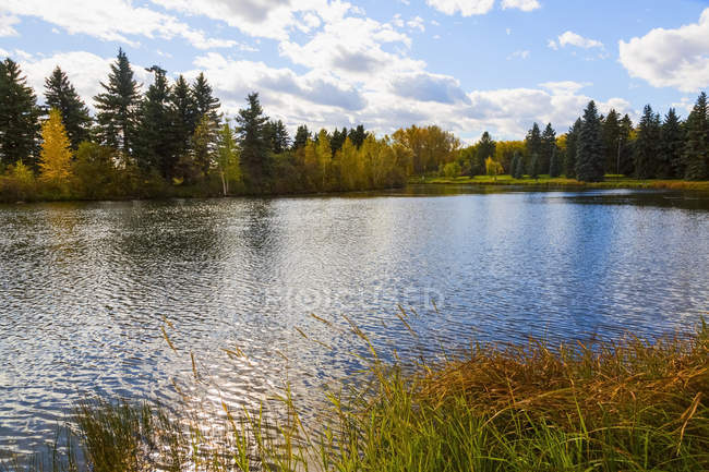 Lac tranquille reflétant les arbres colorés d'automne, Edmonton, Alberta, Canada — Photo de stock