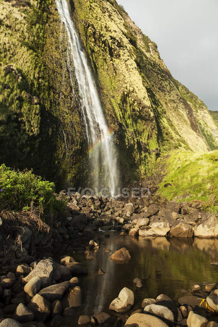 Vista panorâmica da Cachoeira de Punlulu, Lapahoehoe Nui Valley, Hamakua Coast, Ilha do Havaí, Havaí, Estados Unidos da América — Fotografia de Stock