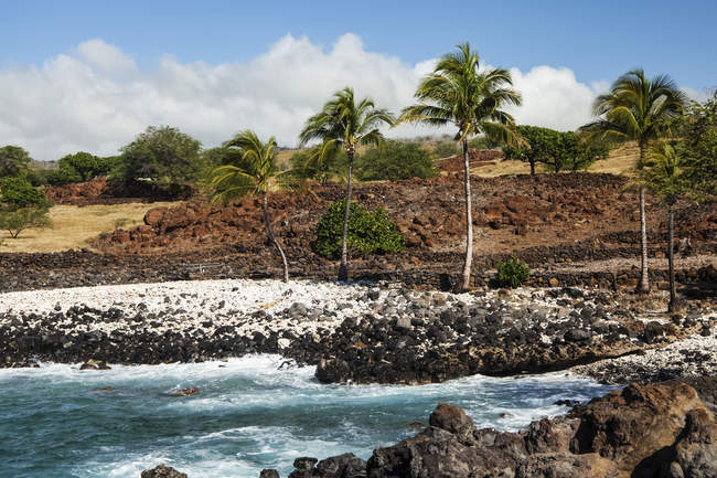 Vue panoramique du majestueux parc historique de l'État de Lapakahi, île d'Hawaï, Hawaï, États-Unis d'Amérique — Photo de stock