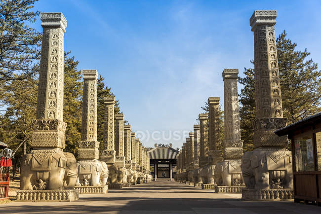Pilares basados en elefantes en Yungang Grottoes, antiguas grutas del templo budista chino cerca de Datong; China - foto de stock