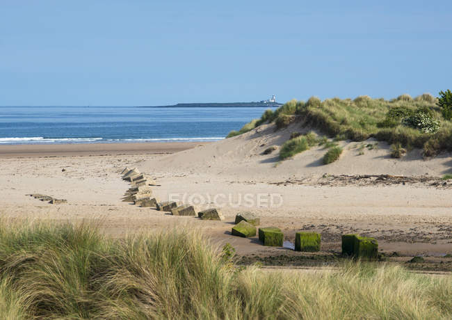 Segunda guerra mundial blocos de defesa do mar de concreto na costa de Bamburgh, Northumberland, Inglaterra — Fotografia de Stock