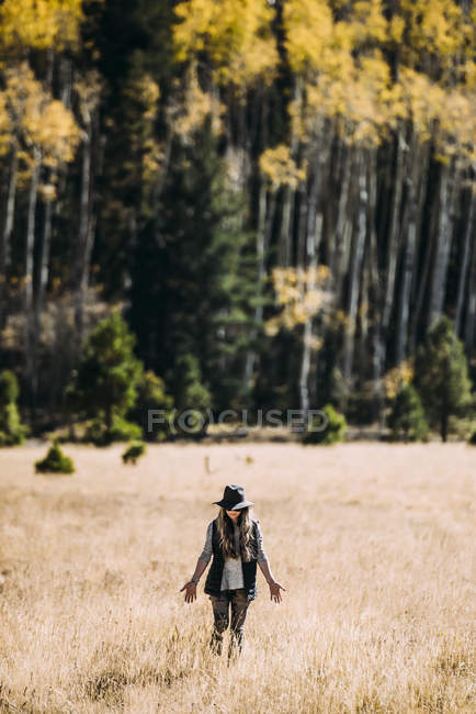 Eine Frau geht über ein Feld aus goldenem Gras in Richtung Wald, Lockett-Wiese, Kalifornien, Vereinigte Staaten von Amerika — Stockfoto