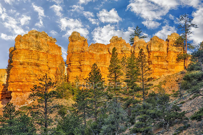 Sandstone spires, Bryce Canyon National Park; Utah, United States of America — Stock Photo