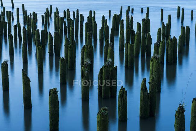 Pilings in the river mark the location of bygone industry; Astoria, Oregon, USA — Stock Photo