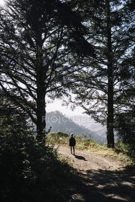 Eine Frau, die auf einem Pfad in den Bergen bergauf zum Sonnenlicht auf der Bergspitze geht, Purisima Creek Redwoods, Kalifornien, Vereinigte Staaten von Amerika — Stockfoto