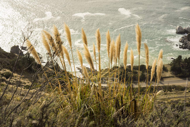Vista panoramica di Cabrillo Highway e Big Sur, la costa frastagliata e l'Oceano Pacifico, Julia Pfeiffer Burns State Park, California, Stati Uniti d'America — Foto stock