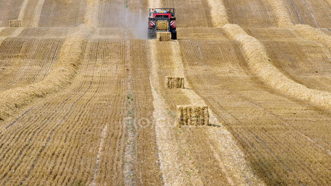 Трактор, делающий тюки сена в поле — стоковое фото