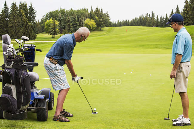A able bodied golfer teams up with a disabled golfer using a specialized powered golf wheelchair and putting together on a golf green playing best ball, Edmonton, Alberta, Canada — стоковое фото