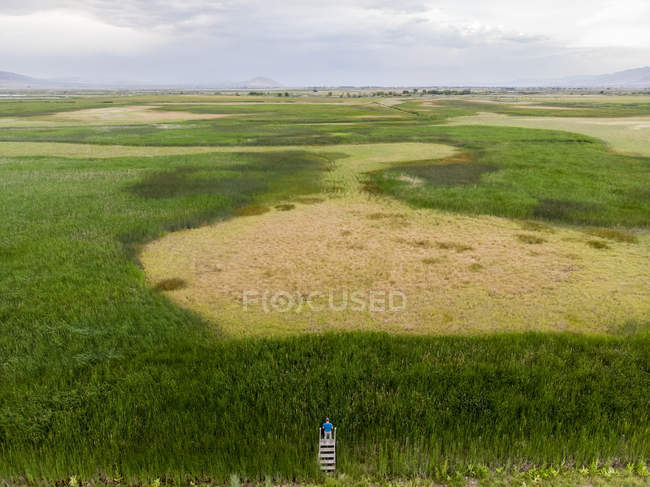 Homem de pé em cima de degraus olhando para uma vasta paisagem — Fotografia de Stock
