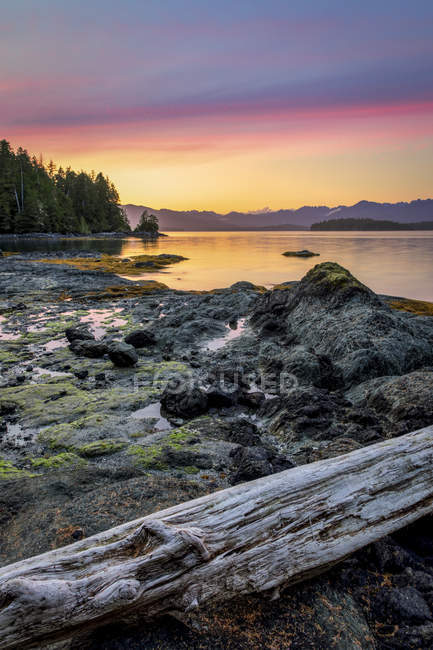 Atardecer sobre la Isla Dodd en las Islas del Grupo Roto, Reserva del Parque Nacional Pacific Rim, Columbia Británica, Canadá - foto de stock