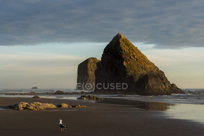 Sea stacks found at Silver Point on the Oregon coast, Tolovana Park, Oregon, United States of America — Stock Photo