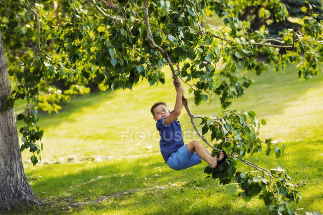 Young boy swinging fearlessly from a tree branch in park — Stock Photo