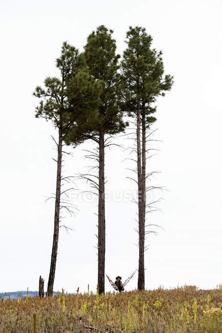 Женщина сидит в гамаке между двумя высокими деревьями — стоковое фото