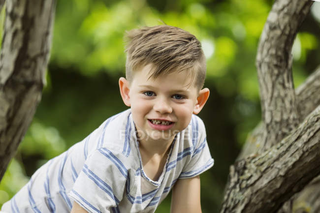Jeune garçon grimpant dans un arbre et souriant pour la caméra tout en passant du temps dans un parc — Photo de stock