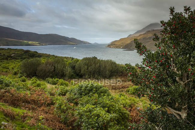 Vista panorâmica de Killary fjord, Connemara, County Galway, Irlanda — Fotografia de Stock