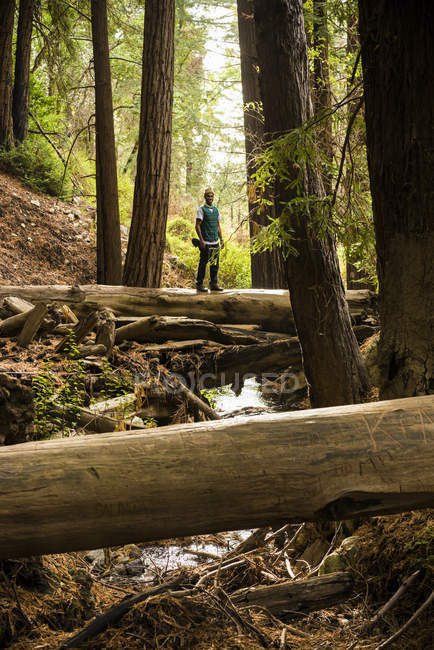 Чоловік стоїть на колоді над струмком у лісі — стокове фото