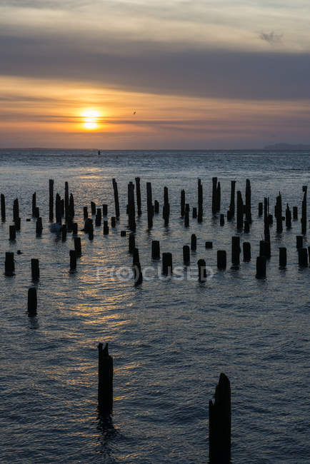Il sole tramonta su vecchie pile nel fiume Columbia, Astoria, Oregon, Stati Uniti — Foto stock