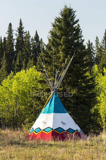 Decorative painted tipi in a field with trees in the background and blue sky, West of Turner Valley; Alberta, Canada — Stock Photo