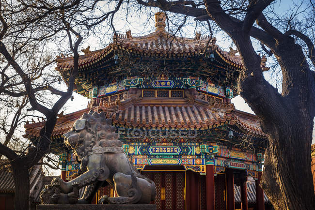 Chinesischer Wächterlöwe im Lama-Tempel, Bezirk Dongcheng, Peking, China — Stockfoto