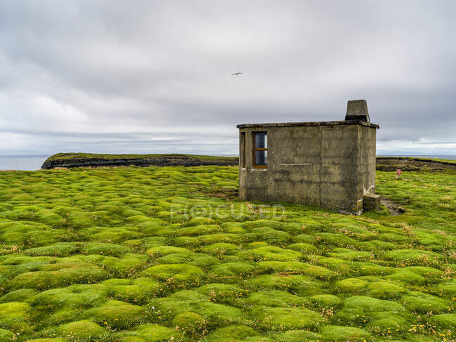 Downpatrick Head y Wild Atlantic Way; Killala, Condado de Mayo, Irlanda - foto de stock