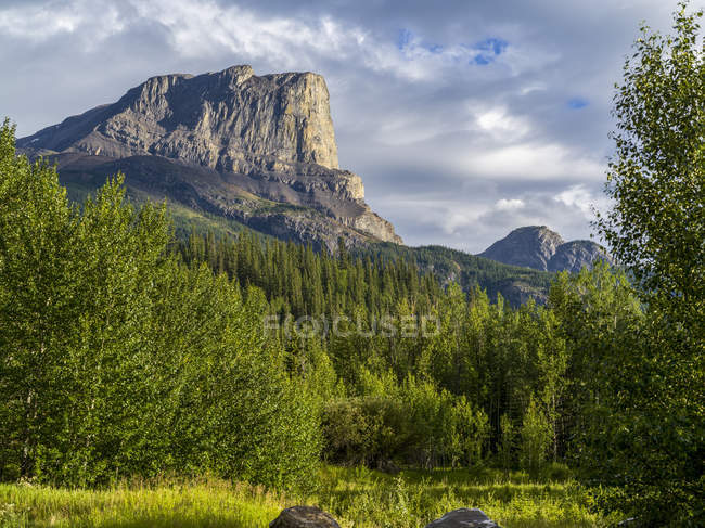 Vista panorámica de las montañas rocosas canadienses resistentes con un bosque en el valle; Alberta, Canadá - foto de stock
