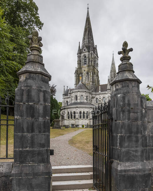 Cathédrale Saint Fin Barres ; Cork, comté de Cork, Irlande — Photo de stock