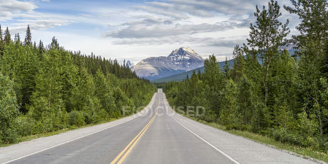 Дорога через міцний Канадський Скелясті гори; Альберта, Канада — стокове фото